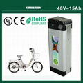 Electric bike battery 48V 15Ah with