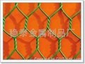 优质不锈钢304六角网拧花网石笼网