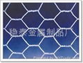 304Hexagonal wire mesh 2