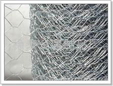 304Hexagonal wire mesh 3