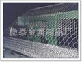 304Hexagonal wire mesh