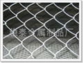 1/2Chain Link Fence 2