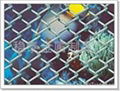 1/2Chain Link Fence 3