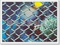 1/2Chain Link Fence