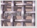 GF1W 304Stainless steel wire mesh 1