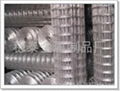 Welded Wire Mesh