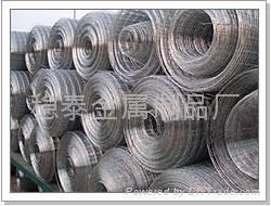 Welded Wire Mesh 5