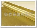 Brass Wire Mesh 3