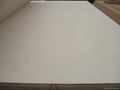 CARB Poplar Plywood,  2