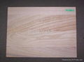 Paulownia joint board,Paulownia Jointed Board; 2