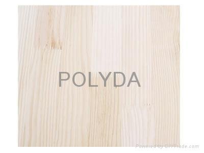 Paulownia Finger Jointed Board; 