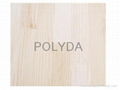 Paulownia Finger Jointed Board;