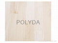 Paulownia Finger Jointed Board; 