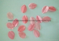  Paper soap instant small soap flakes 3