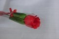 Single roses Valentine's day must be customized. 5