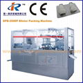 DPB-250P Flat Plate Automatic Blister Packing Machine with Plexiglas Cover 1