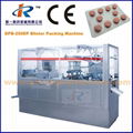 DPB-250P Flat Plate Automatic Blister Packing Machine with Plexiglas Cover 2