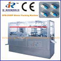 DPB-250P Flat Plate Automatic Blister Packing Machine with Plexiglas Cover 3