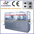 DPB-250P Flat Plate Automatic Blister Packing Machine with Plexiglas Cover 5