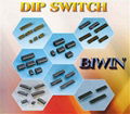 DIP switches 1