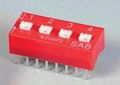 Dual pole DIP switch