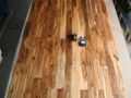 Small Leaf  Acacia  Hardwood Flooring  1