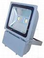 100W LED Flood Light with NICHIA COB LED  Mean Well Power