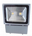 100W LED Flood Light with NICHIA COB LED  Mean Well Power 2