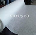 non woven fabric cloth(DMD) 1