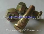 Auto bolt&nut,Auto Hub bolt&nut,Auto Wheel bolt&nut,Nonstandard Bolt&nut,OEM Aut 2