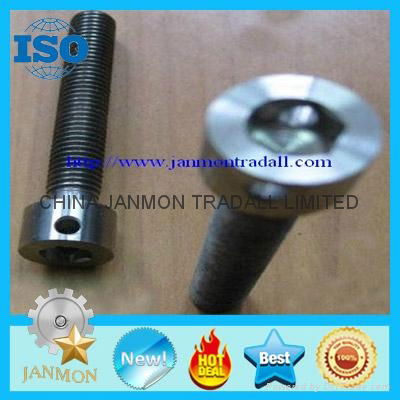 Customized Special Hex Socket Head Bolt With Hole(as drawing)