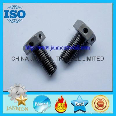 Customized Special Hex Head Bolt With Hole(as drawing) 2