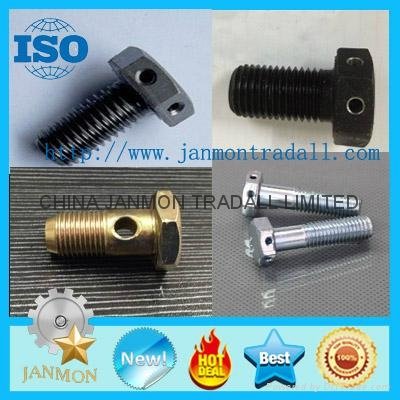 Customized Special Hex Head Bolt With Hole(as drawing) 3