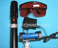 450mw hand held protable green laser pointer/Astronomy Lasers free shipping