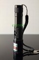 oxlasers handheld focusable 200mw green laser pointer burning torch WITH KEYLOCK