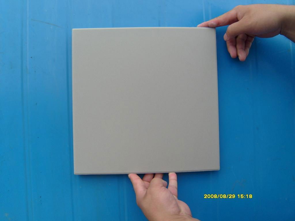 生產各種規格耐酸瓷板