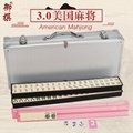 American mahjong 3