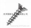 Self Tapping Screw 