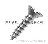 Self Tapping Screw 