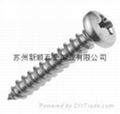 Self Tapping Screw  2