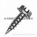 Self Tapping Screw  3