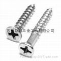 Wood Screw  1