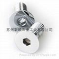 Wood Screw  4