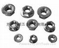 Wood Screw  5