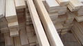 paulownia square wood 1