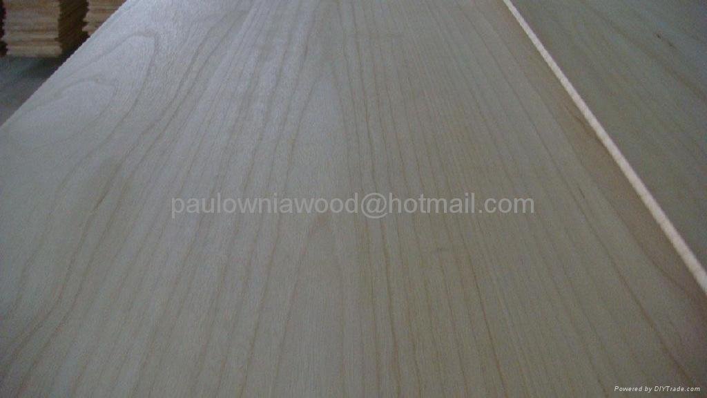 paulownia edge glued panels