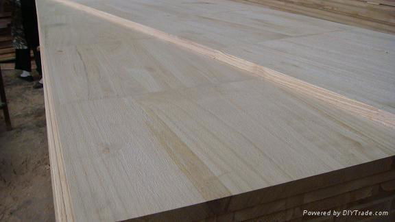 paulownia wood for furniture 3