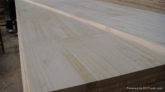 paulownia wood for furniture 5