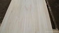 paulownia plywood 1