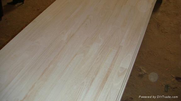 paulownia plywood 2